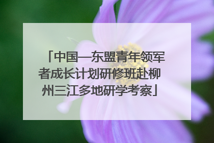 中国—东盟青年领军者成长计划研修班赴柳州三江多地研学考察