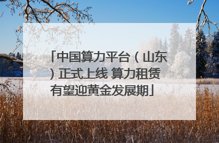 中国算力平台（山东）正式上线 算力租赁有望迎黄金发展期