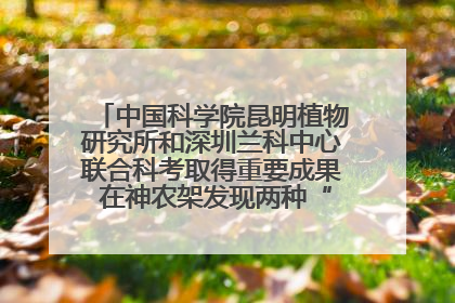 中国科学院昆明植物研究所和深圳兰科中心联合科考取得重要成果 在神农架发现两种“国保”级兰花