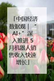 中国经济数据观｜“AI+”深入推进 5月机器人销售收入快速增长