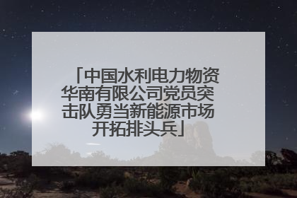 中国水利电力物资华南有限公司党员突击队勇当新能源市场开拓排头兵