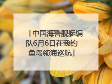 中国海警舰艇编队6月6日在我钓鱼岛领海巡航