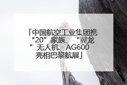 中国航空工业集团携“20”家族、“翼龙”无人机、AG600亮相巴黎航展