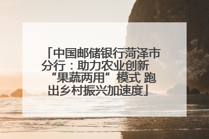 中国邮储银行菏泽市分行：助力农业创新 “果蔬两用”模式 跑出乡村振兴加速度