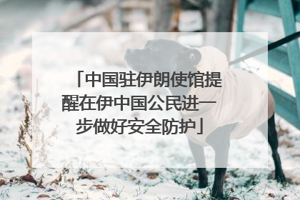 中国驻伊朗使馆提醒在伊中国公民进一步做好安全防护