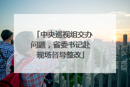 中央巡视组交办问题，省委书记赴现场督导整改