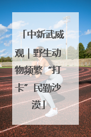 中新武威观｜野生动物频繁“打卡”民勤沙漠