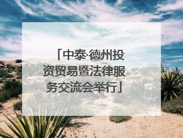 中泰·德州投资贸易暨法律服务交流会举行