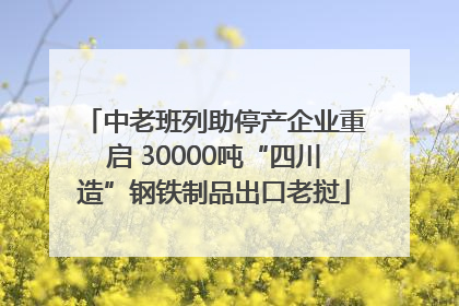 中老班列助停产企业重启 30000吨“四川造”钢铁制品出口老挝