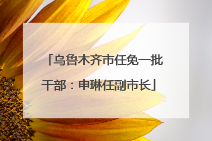 乌鲁木齐市任免一批干部：申琳任副市长