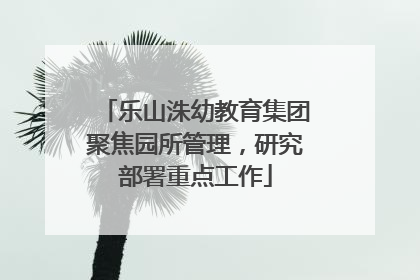 乐山洙幼教育集团聚焦园所管理，研究部署重点工作