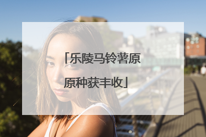 乐陵马铃薯原原种获丰收
