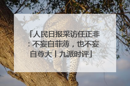人民日报采访任正非：不妄自菲薄，也不妄自尊大丨九派时评