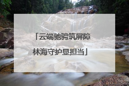 云端驰骋筑屏障 林海守护显担当
