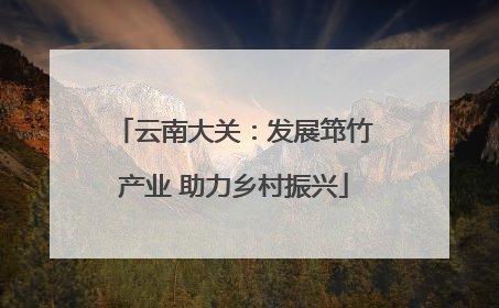 云南大关：发展筇竹产业 助力乡村振兴