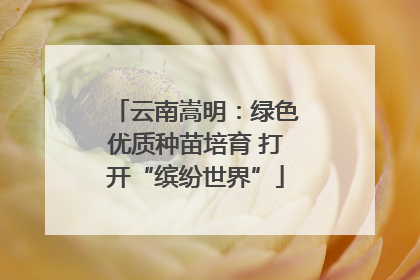 云南嵩明：绿色优质种苗培育 打开“缤纷世界”
