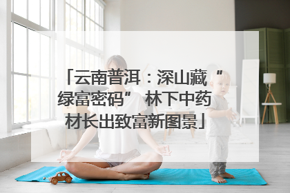 云南普洱：深山藏“绿富密码” 林下中药材长出致富新图景