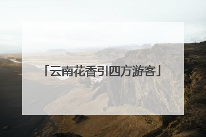 云南花香引四方游客