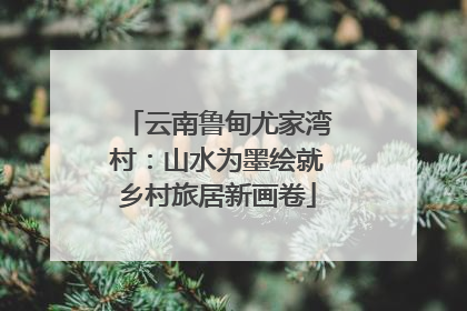 云南鲁甸尤家湾村：山水为墨绘就乡村旅居新画卷