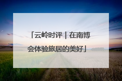 云岭时评｜在南博会体验旅居的美好