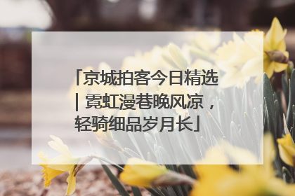 京城拍客今日精选｜霓虹漫巷晚风凉，轻骑细品岁月长