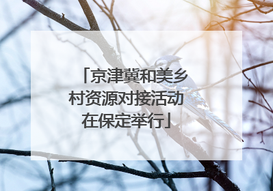京津冀和美乡村资源对接活动在保定举行