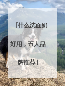 什么洗面奶好用，五大品牌推荐