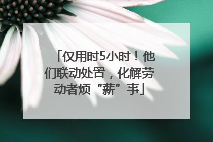 仅用时5小时！他们联动处置，化解劳动者烦“薪”事