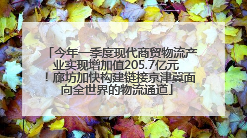 今年一季度现代商贸物流产业实现增加值205.7亿元！廊坊加快构建链接京津冀面向全世界的物流通道