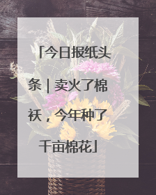 今日报纸头条｜卖火了棉袄，今年种了千亩棉花