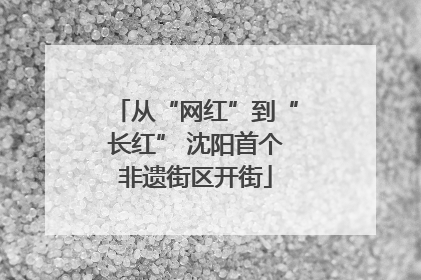 从“网红”到“长红” 沈阳首个非遗街区开街