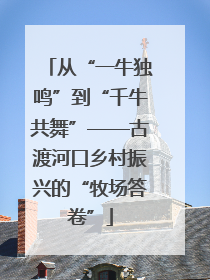 从“一牛独鸣”到“千牛共舞”——古渡河口乡村振兴的“牧场答卷”
