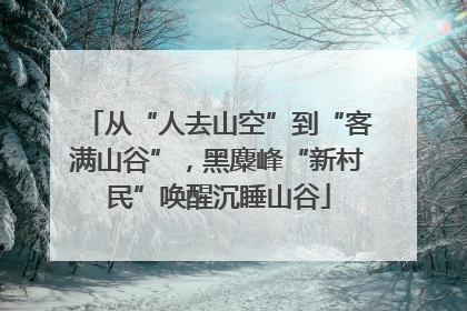从“人去山空”到“客满山谷”，黑麋峰“新村民”唤醒沉睡山谷