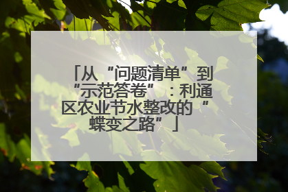 从“问题清单”到“示范答卷”：利通区农业节水整改的“蝶变之路”
