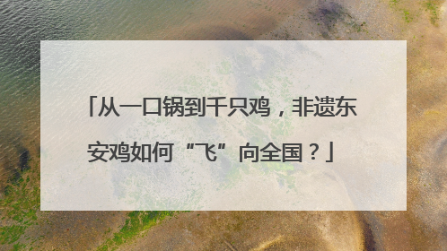 从一口锅到千只鸡，非遗东安鸡如何“飞”向全国？