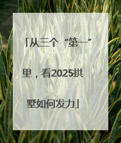 从三个“第一”里，看2025拱墅如何发力