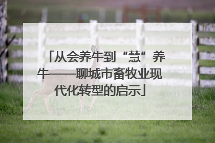 从会养牛到“慧”养牛——聊城市畜牧业现代化转型的启示