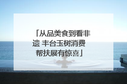 从品美食到看非遗 丰台玉树消费帮扶展有惊喜