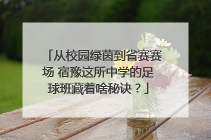 从校园绿茵到省赛赛场 宿豫这所中学的足球班藏着啥秘诀？