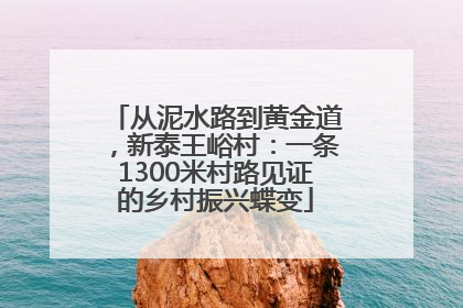 从泥水路到黄金道，新泰王峪村：一条1300米村路见证的乡村振兴蝶变