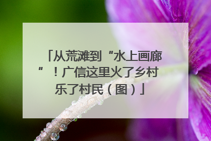 从荒滩到“水上画廊”！广信这里火了乡村 乐了村民（图）