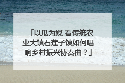 以瓜为媒 看传统农业大镇石莲子镇如何唱响乡村振兴协奏曲？