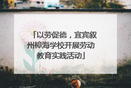 以劳促德，宜宾叙州樟海学校开展劳动教育实践活动