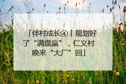 伴村成长④丨规划好了“满盘赢”，仁义村唤来“大厂”回
