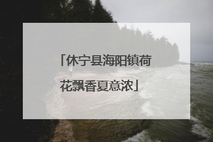 休宁县海阳镇荷花飘香夏意浓