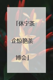 休宁茶企惊艳茶博会