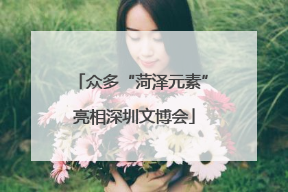 众多“菏泽元素”亮相深圳文博会