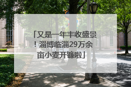 又是一年丰收盛景！淄博临淄29万余亩小麦开镰啦