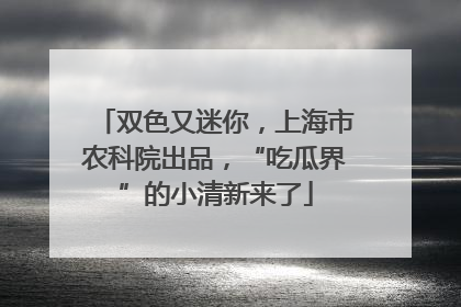 双色又迷你，上海市农科院出品，“吃瓜界”的小清新来了