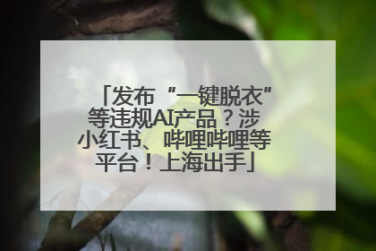 发布“一键脱衣”等违规AI产品？涉小红书、哔哩哔哩等平台！上海出手
